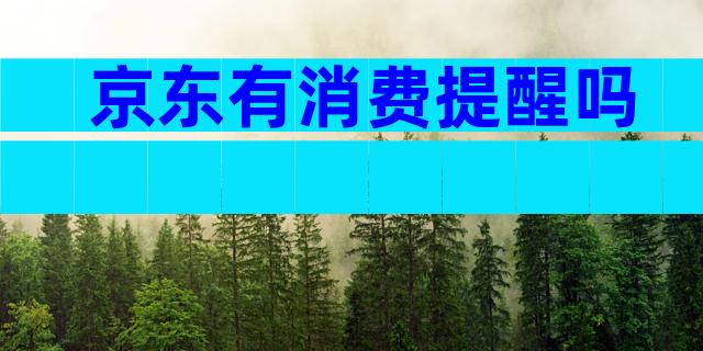 京东有消费提醒吗