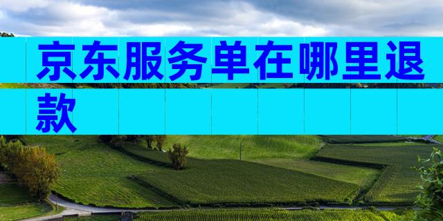 京东服务单在哪里退款