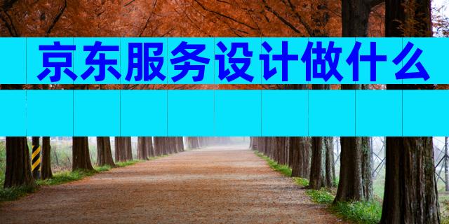 京东服务设计做什么