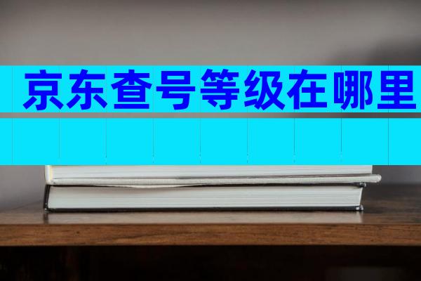京东查号等级在哪里