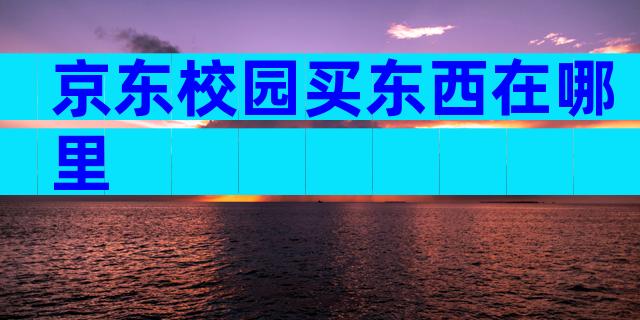 京东校园买东西在哪里