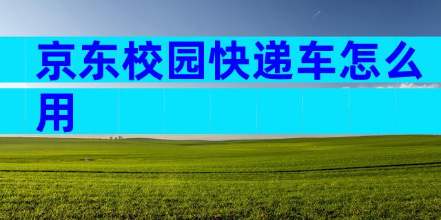 京东校园快递车怎么用
