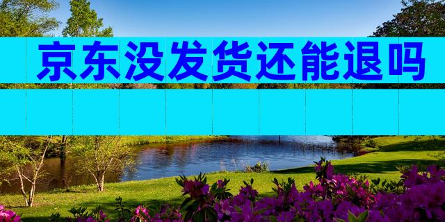 京东没发货还能退吗