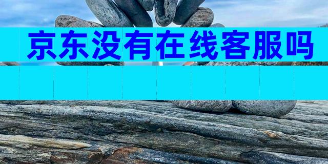 京东没有在线客服吗