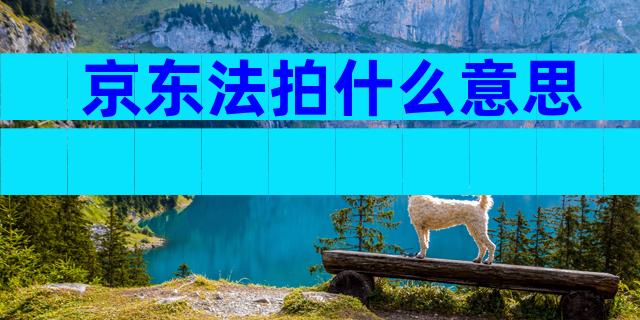 京东法拍什么意思