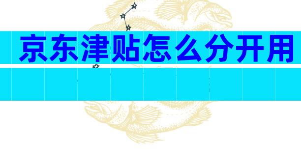 京东津贴怎么分开用