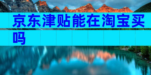 京东津贴能在淘宝买吗