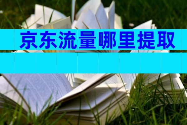 京东流量哪里提取