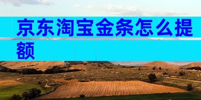 京东淘宝金条怎么提额