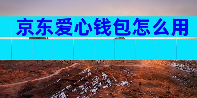 京东爱心钱包怎么用