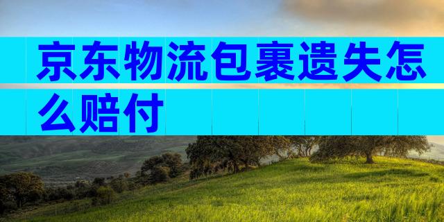 京东物流包裹遗失怎么赔付