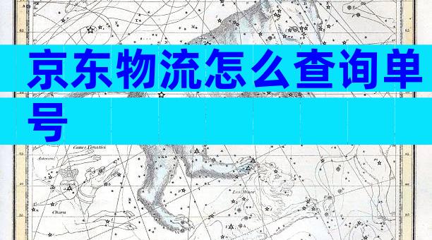 京东物流怎么查询单号
