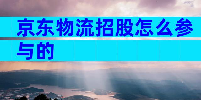 京东物流招股怎么参与的