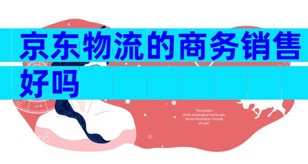 京东物流的商务销售好吗