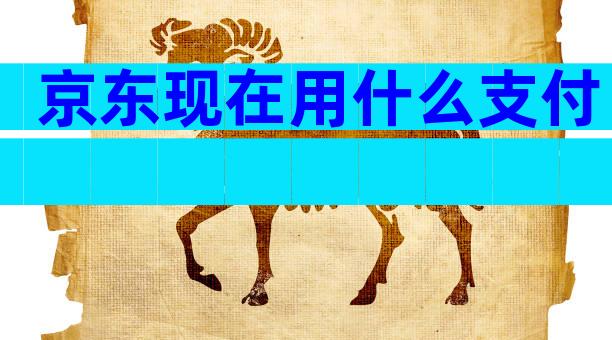 京东现在用什么支付