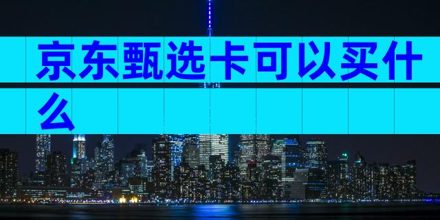 京东甄选卡可以买什么