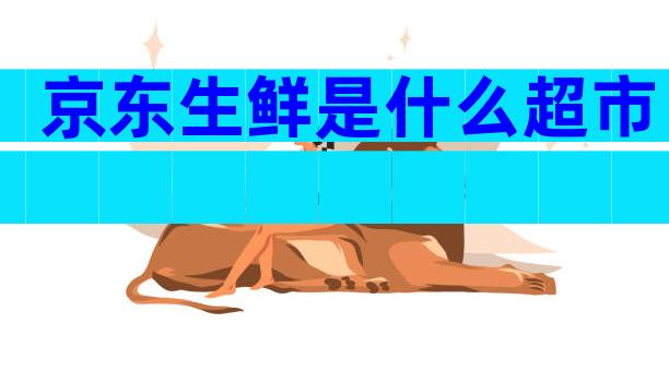 京东生鲜是什么超市