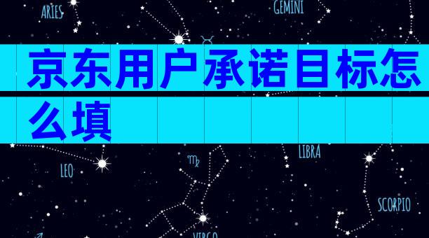 京东用户承诺目标怎么填