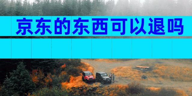 京东的东西可以退吗