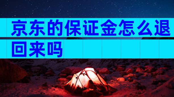 京东的保证金怎么退回来吗