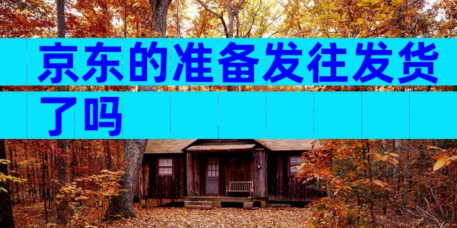 京东的准备发往发货了吗