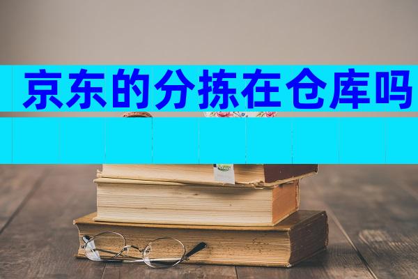 京东的分拣在仓库吗