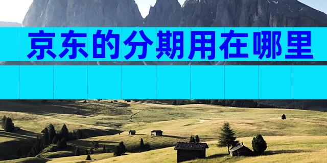 京东的分期用在哪里