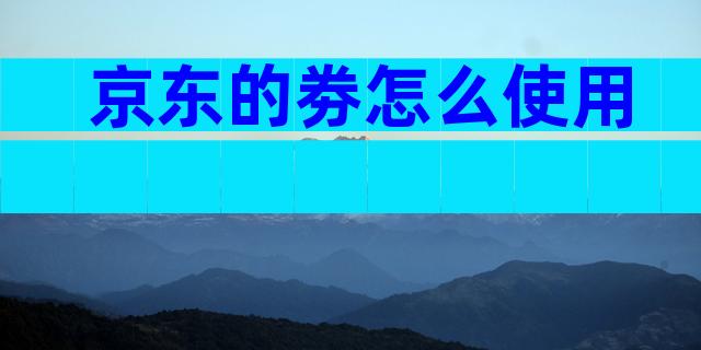 京东的劵怎么使用