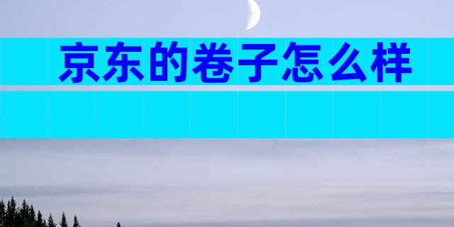 京东的卷子怎么样