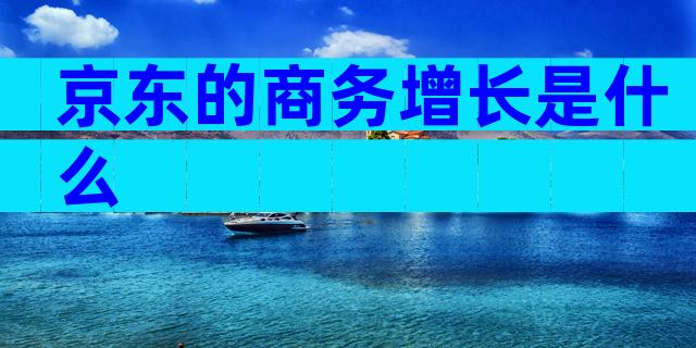 京东的商务增长是什么