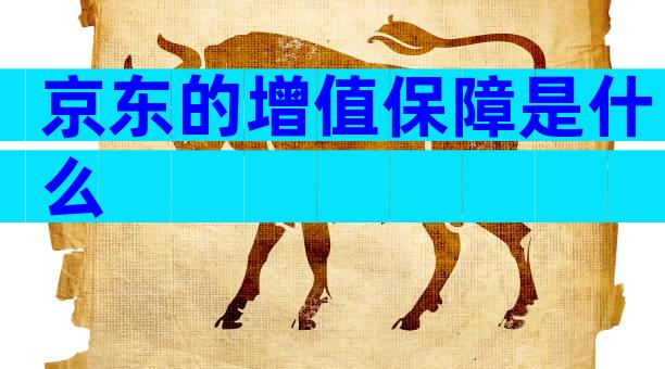 京东的增值保障是什么