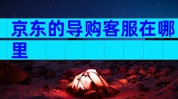 京东的导购客服在哪里