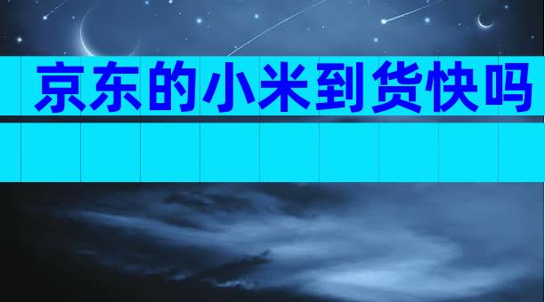 京东的小米到货快吗
