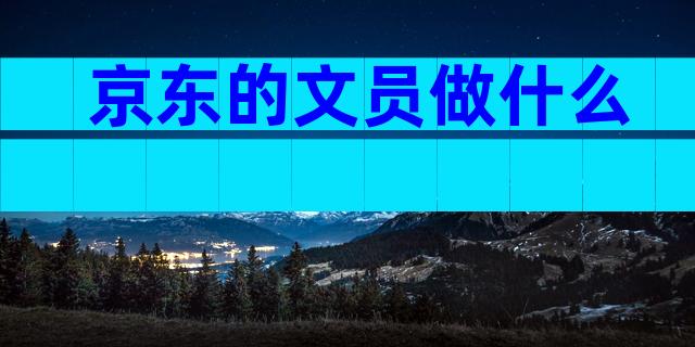 京东的文员做什么