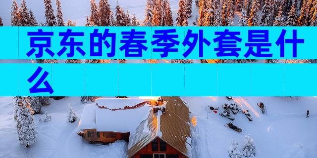 京东的春季外套是什么