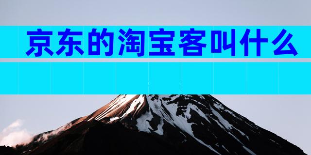 京东的淘宝客叫什么