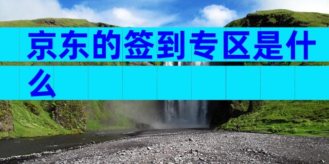 京东的签到专区是什么
