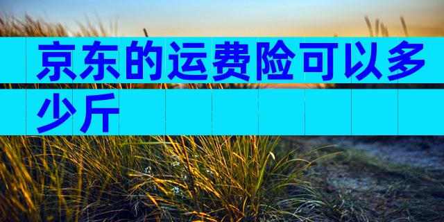 京东的运费险可以多少斤