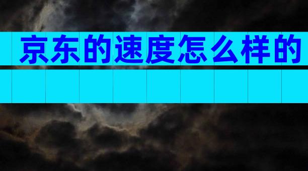 京东的速度怎么样的