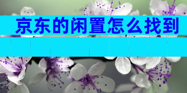 京东的闲置怎么找到