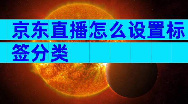 京东直播怎么设置标签分类