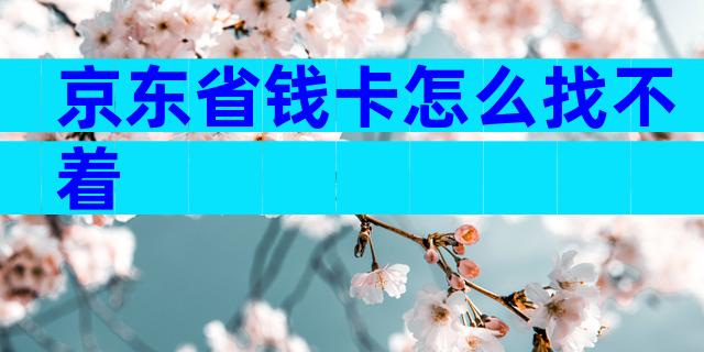 京东省钱卡怎么找不着