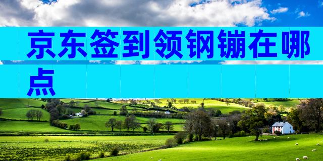京东签到领钢镚在哪点