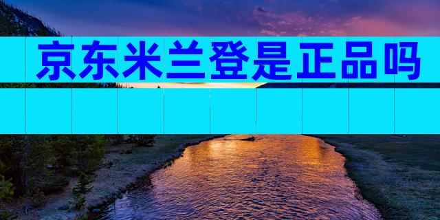 京东米兰登是正品吗
