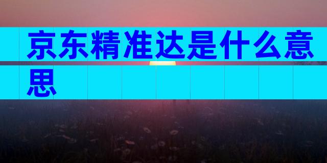 京东精准达是什么意思
