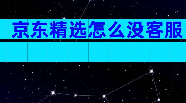 京东精选怎么没客服