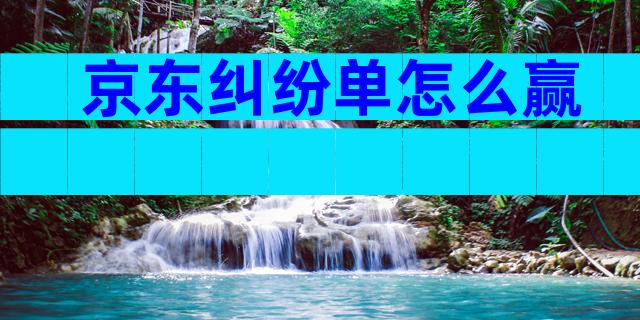 京东纠纷单怎么赢