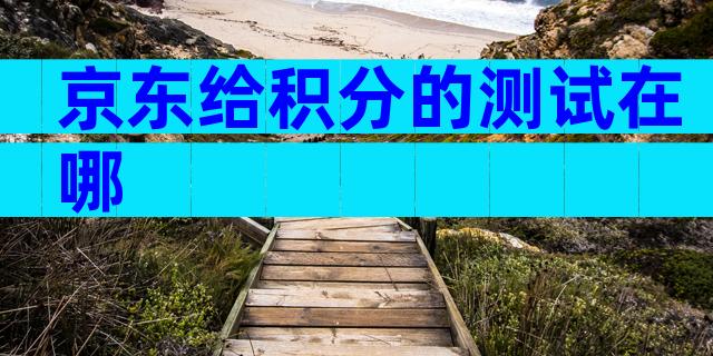 京东给积分的测试在哪