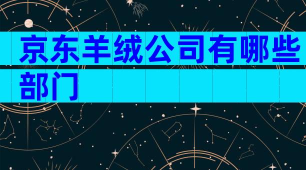 京东羊绒公司有哪些部门