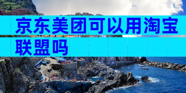 京东美团可以用淘宝联盟吗